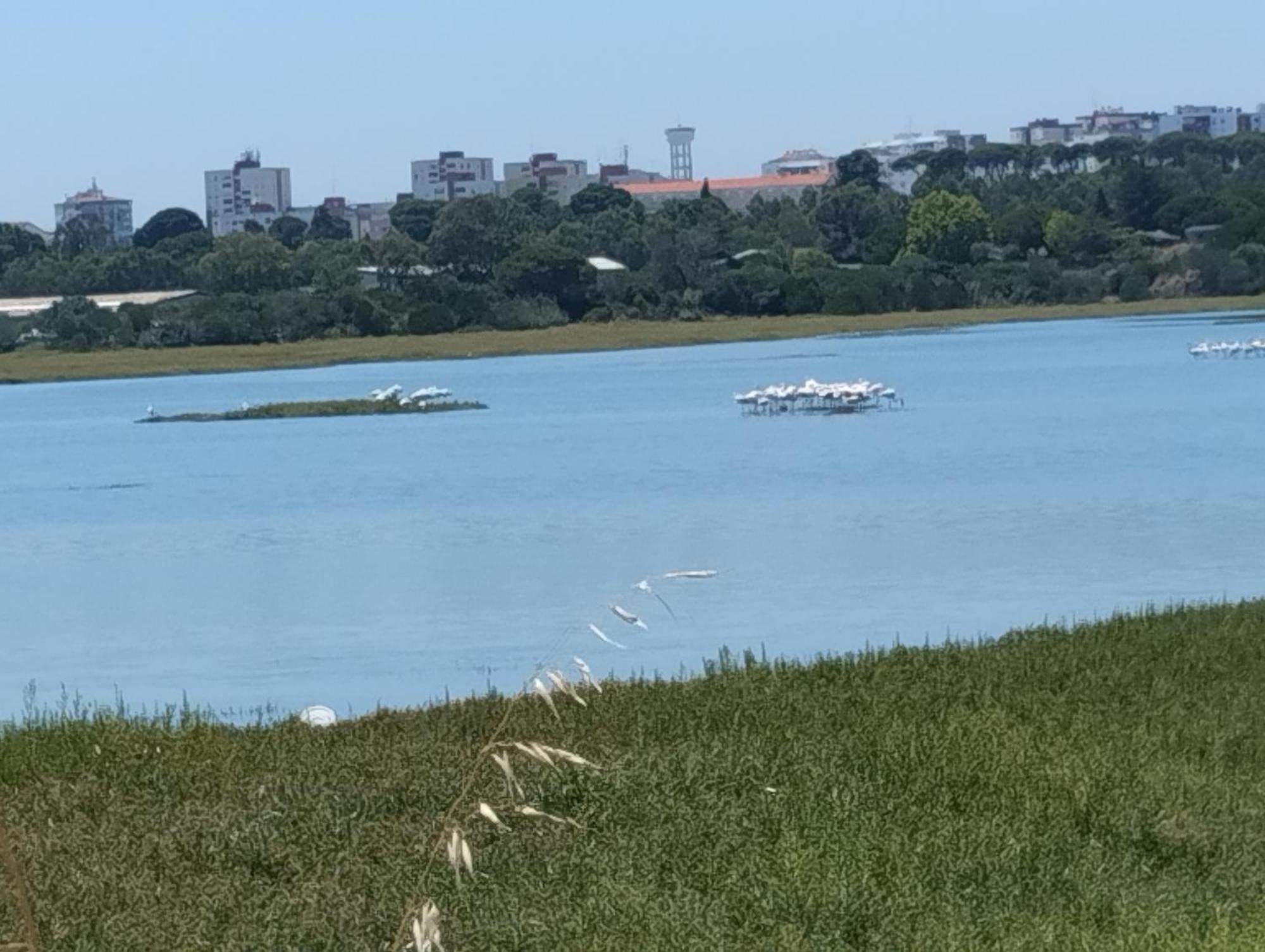 Alojamento Local, Cantinho Verde Corroios Kültér fotó